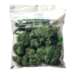 Wholesale 😀 12 Pack: Basil Green Reindeer Moss by Ashland® 🤩 -Ashland Shop MP284152 20