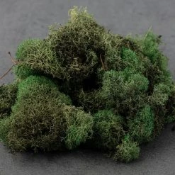 Wholesale 😀 12 Pack: Basil Green Reindeer Moss by Ashland® 🤩 -Ashland Shop MP284152 21