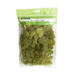 Cheap ✨ 12 Pack: Spring Green Reindeer Moss by Ashland® 🎉