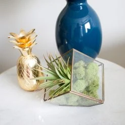 Cheap ✨ 12 Pack: Spring Green Reindeer Moss by Ashland® 🎉 -Ashland Shop MP284153 4