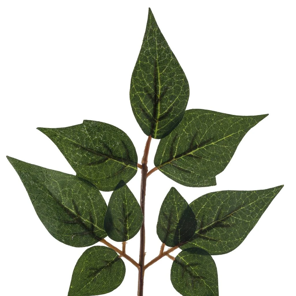 Coupon ❤️ 24 Pack: Green China Dollar Spray by Ashland® 😉 4 Coupon ❤️ 24 Pack: Green China Dollar Spray by Ashland® 😉 - Image 2