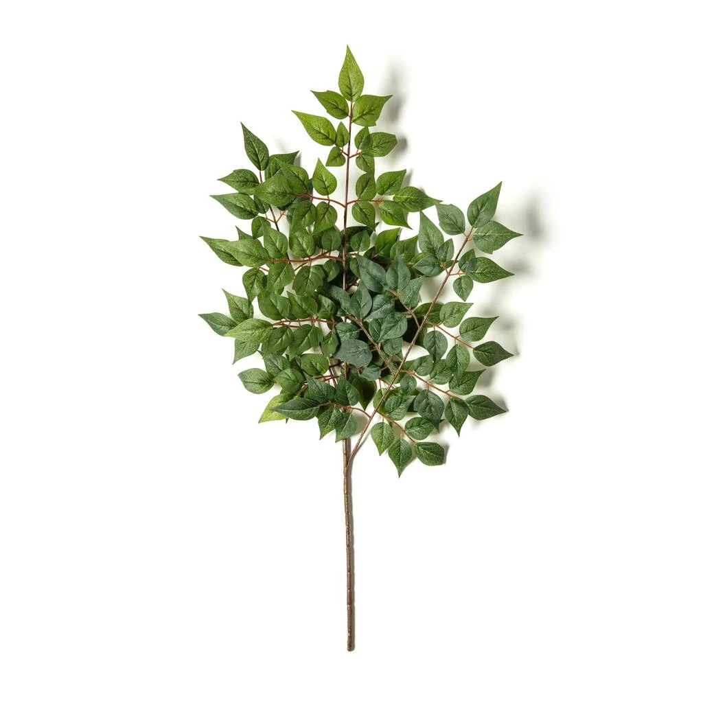 Coupon ❤️ 24 Pack: Green China Dollar Spray by Ashland® 😉 5 Coupon ❤️ 24 Pack: Green China Dollar Spray by Ashland® 😉 - Image 3