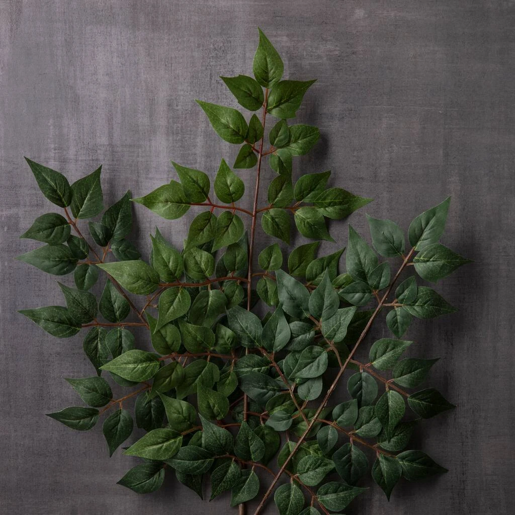 Coupon ❤️ 24 Pack: Green China Dollar Spray by Ashland® 😉 6 Coupon ❤️ 24 Pack: Green China Dollar Spray by Ashland® 😉 - Image 4