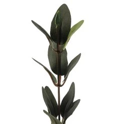 Hot Sale 🔔 12 Pack: Green Huckleberry Leaf Spray by Ashland® ⭐ -Ashland Shop MP292555 20