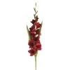 Promo ⭐ 12 Pack: Dark Red Gladiolus Stem by Ashland® 🥰 2 Promo ⭐ 12 Pack: Dark Red Gladiolus Stem by Ashland® 🥰 -Ashland Shop MP297027 1