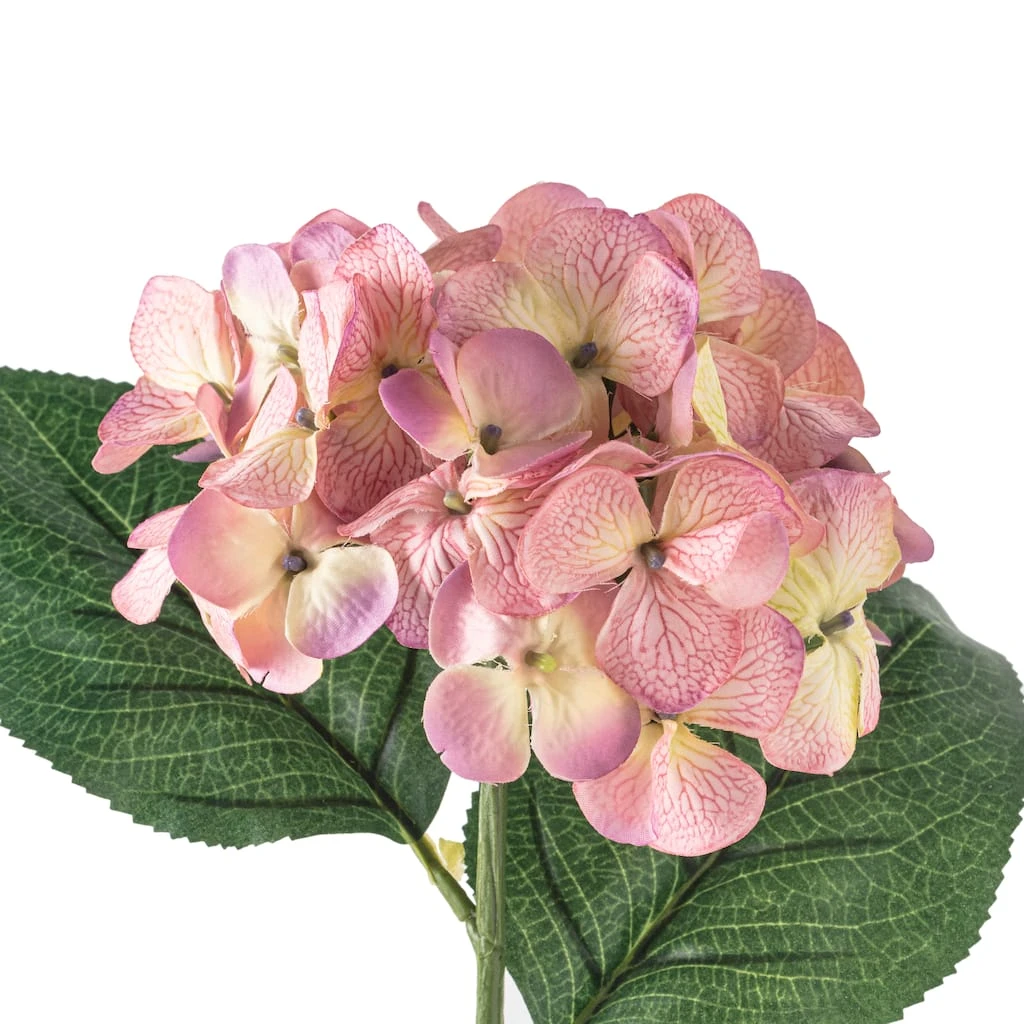 Best Pirce 🔥 12 Pack: Lavender Hydrangea Stem by Ashland® 😀 6 Best Pirce 🔥 12 Pack: Lavender Hydrangea Stem by Ashland® 😀 - Image 4