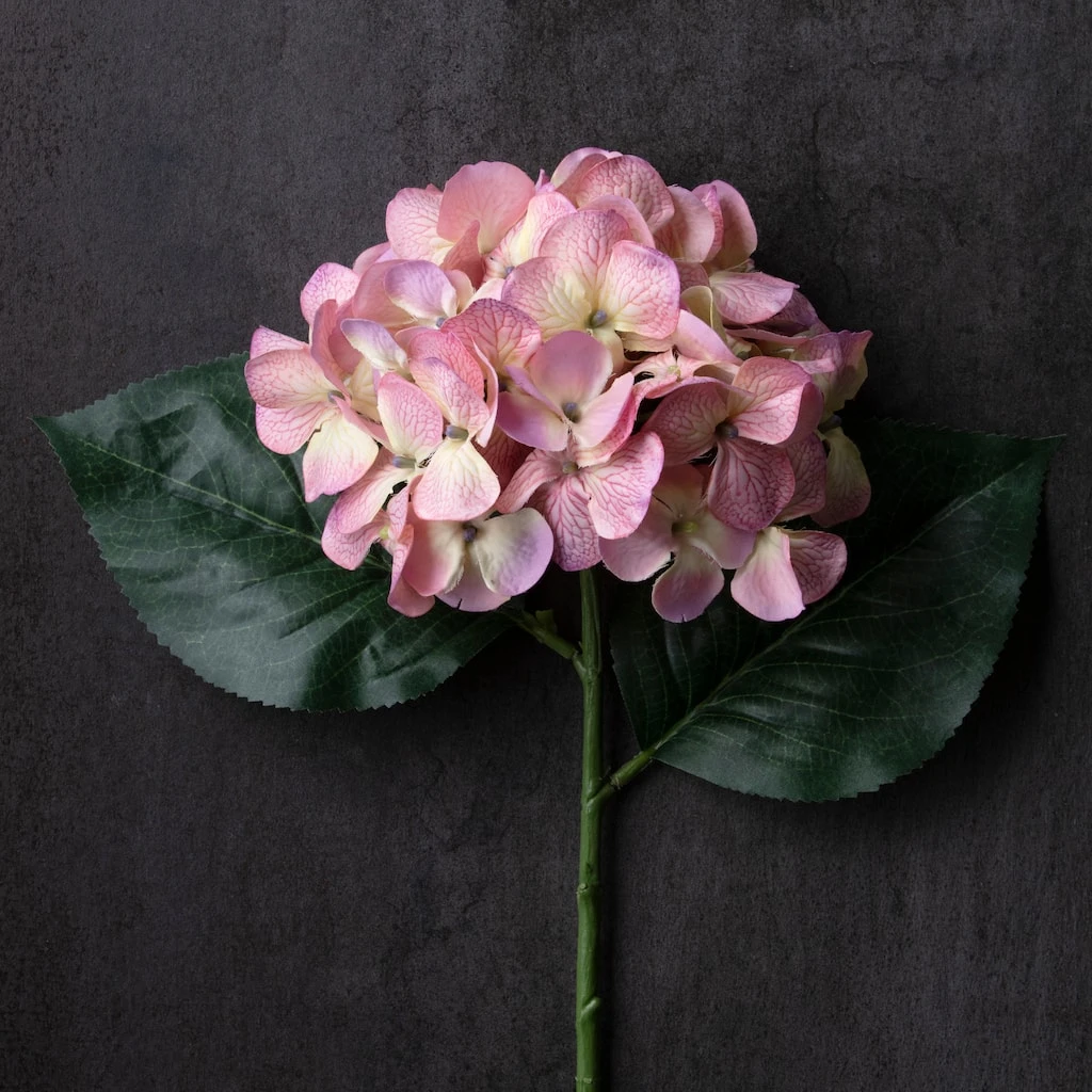 Best Pirce 🔥 12 Pack: Lavender Hydrangea Stem by Ashland® 😀 5 Best Pirce 🔥 12 Pack: Lavender Hydrangea Stem by Ashland® 😀 - Image 3