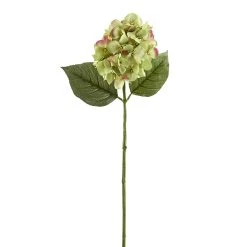 Promo 👏 12 Pack: Green Hydrangea Stem by Ashland® ✨