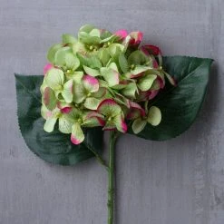 Promo 👏 12 Pack: Green Hydrangea Stem by Ashland® ✨ -Ashland Shop MP297074 22