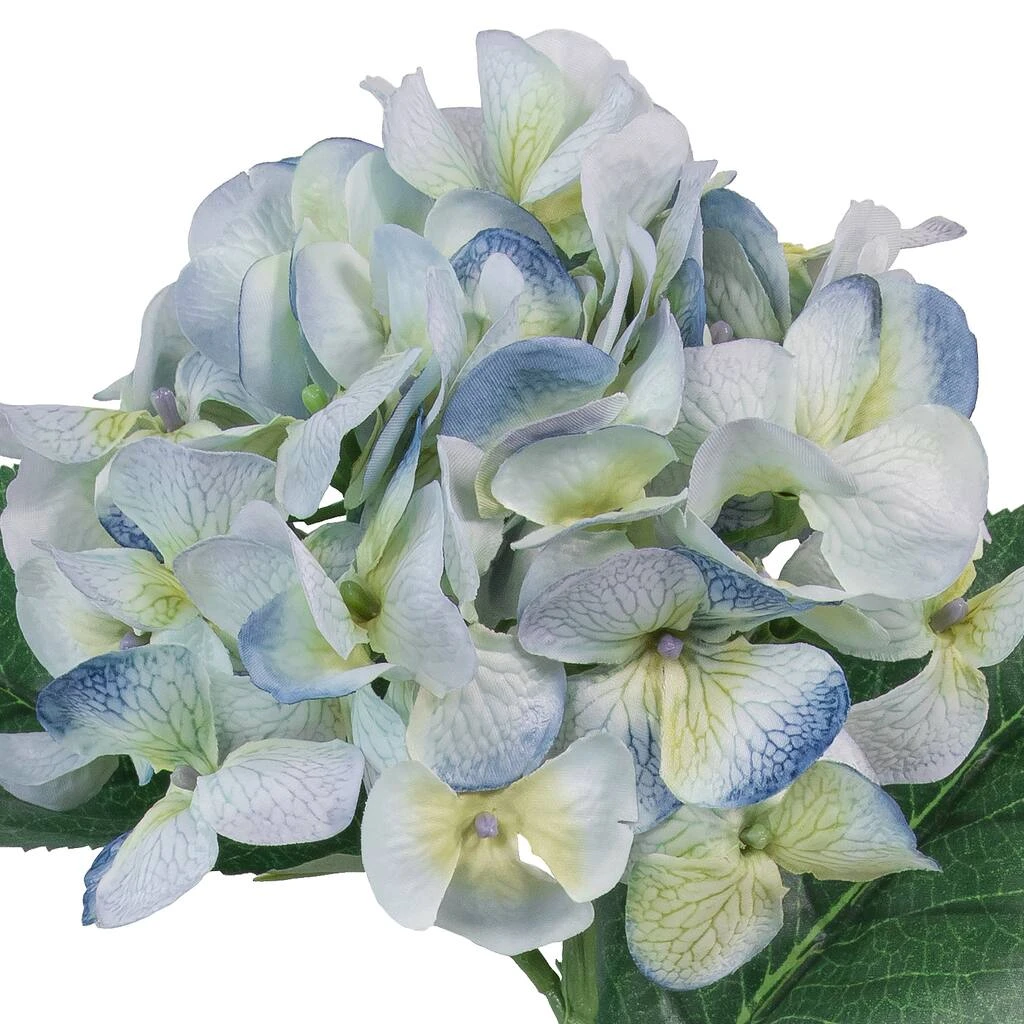 Budget ✨ 12 Pack: Blue & Green Hydrangea Stem by Ashland® ⭐ 4 Budget ✨ 12 Pack: Blue & Green Hydrangea Stem by Ashland® ⭐ - Image 2