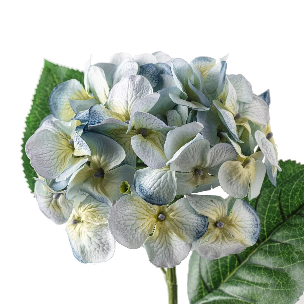 Budget ✨ 12 Pack: Blue & Green Hydrangea Stem by Ashland® ⭐ 5 Budget ✨ 12 Pack: Blue & Green Hydrangea Stem by Ashland® ⭐ - Image 3