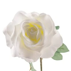 Best reviews of 😉 16 Pack: Ivory Princess Rose Stem by Ashland® 😀 9 Best reviews of 😉 16 Pack: Ivory Princess Rose Stem by Ashland® 😀 -Ashland Shop MP297096 20