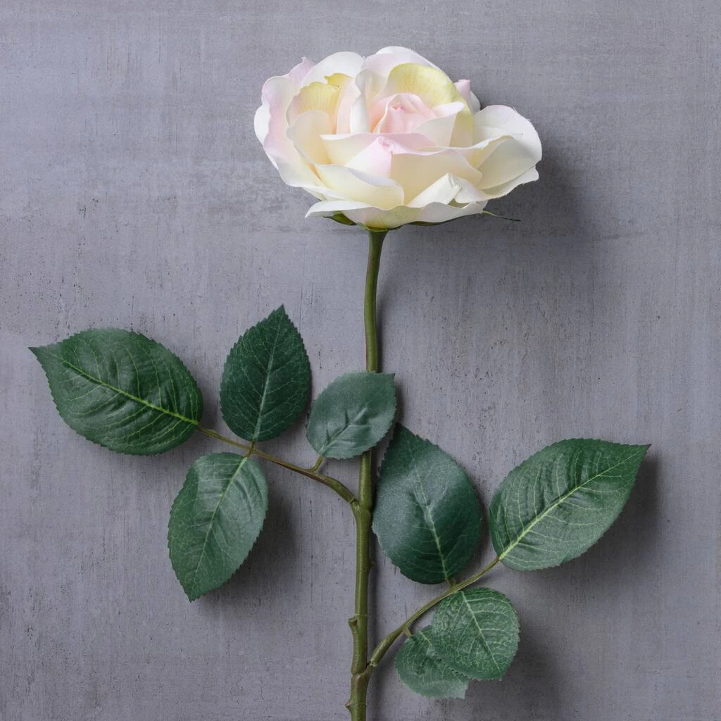 Best reviews of ✔️ 12 Pack: White Princess Rose Stem by Ashland® 🎉 5 Best reviews of ✔️ 12 Pack: White Princess Rose Stem by Ashland® 🎉 - Image 3