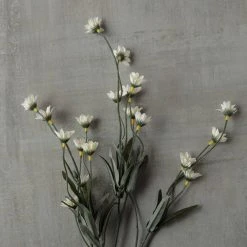 Outlet ⭐ 16 Pack: Cream Wild Daisy Spray by Ashland® 👍 -Ashland Shop MP302183 25