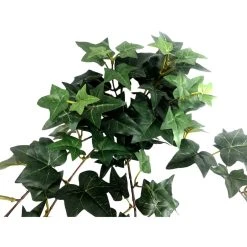 Outlet 🎁 12 Pack: Assorted Mini English Ivy Bush by Ashland® 🌟 -Ashland Shop MP308569 3