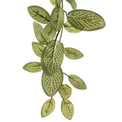 Buy 🔥 8 Pack: Fittonia Hanging Bush by Ashland® ✨ -Ashland Shop MP308882 20