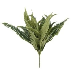 Hot Sale 👏 12 Pack: Boston Fern Bush by Ashland® 🧨