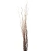 New ⌛ 12 Pack: Natural Curly Willow by Ashland® ⭐ 1 New ⌛ 12 Pack: Natural Curly Willow by Ashland® ⭐ -Ashland Shop MP312272 1