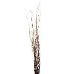 New ⌛ 12 Pack: Natural Curly Willow by Ashland® ⭐