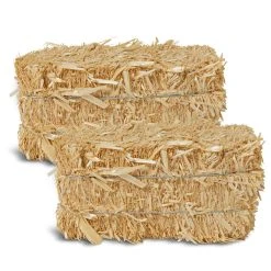 Best deal 👍 12 Pack: 2" Straw Bale by Ashland® 👍