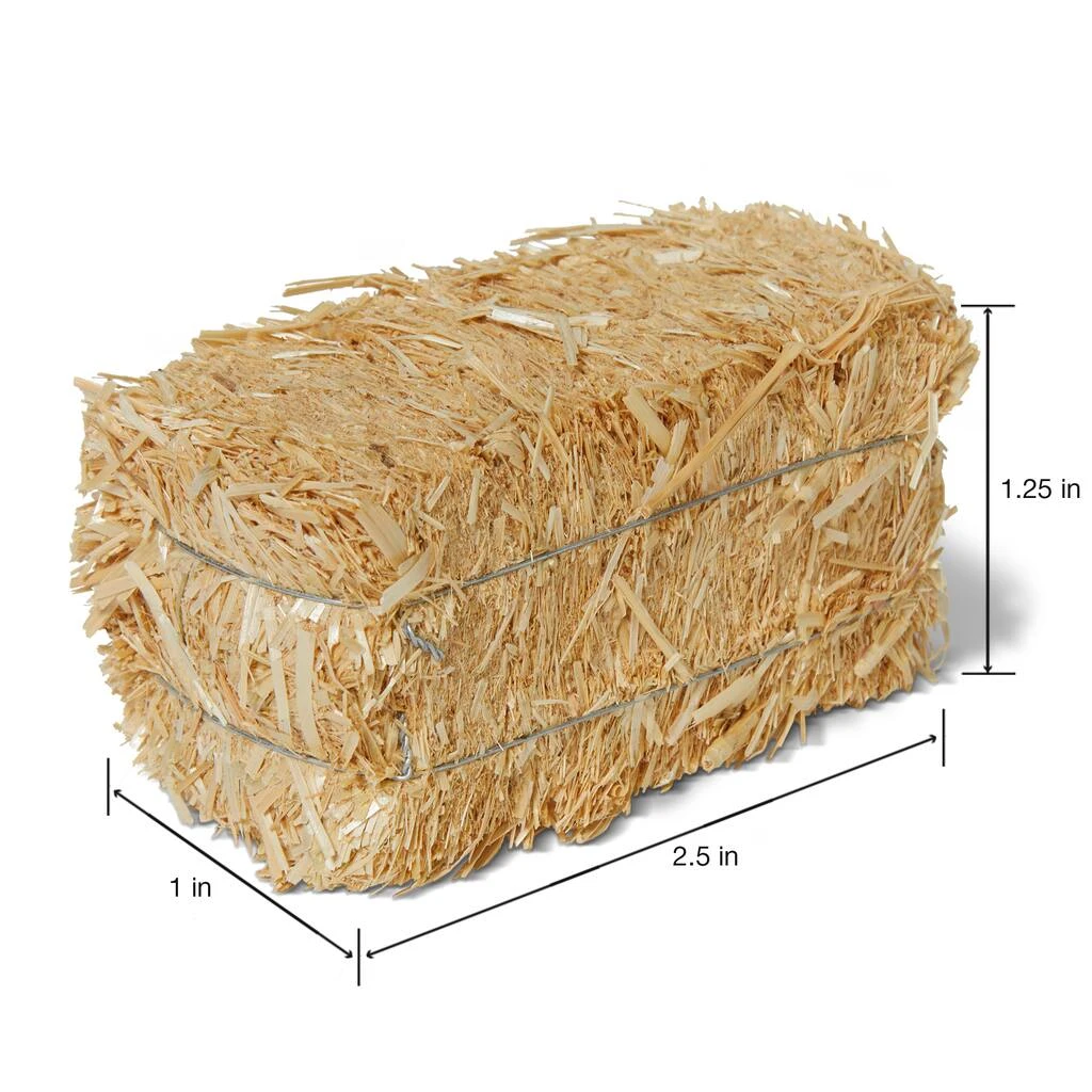 Best deal ๐ 12 Pack: 2" Straw Bale by Ashland® ๐ 6 Best deal ๐ 12 Pack: 2" Straw Bale by Ashland® ๐ - Image 4