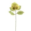 Budget ❤️ 12 Pack: Green Hydrangea Stem by Ashland® 😀 -Ashland Shop MP328156 1