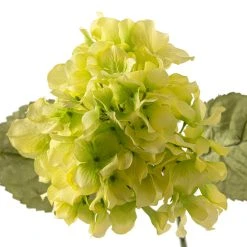 Budget ❤️ 12 Pack: Green Hydrangea Stem by Ashland® 😀 -Ashland Shop MP328156 20