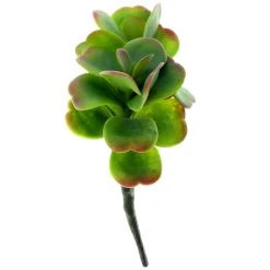 Cheap ⌛ 18 Pack: Green & Orange Succulent Pick by Ashland® 😍