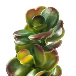Cheap ⌛ 18 Pack: Green & Orange Succulent Pick by Ashland® 😍 -Ashland Shop MP337814 20