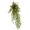 Hot Sale 😍 12 Pack: Green Springeri Fern Bush by Ashland® 😉 -Ashland Shop MP339547 1