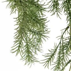 Hot Sale 😍 12 Pack: Green Springeri Fern Bush by Ashland® 😉 -Ashland Shop MP339547 20