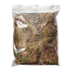 Best Pirce ❤️ 12 Pack: Decorative Moss by Ashland® ✨ -Ashland Shop MP341503 20