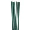 Cheap ⌛ 12 Pack: 16 Gauge Green Stem Wire by Ashland® ⭐ 1 Cheap ⌛ 12 Pack: 16 Gauge Green Stem Wire by Ashland® ⭐ -Ashland Shop MP345652 31