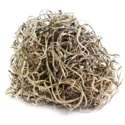 Top 10 🤩 24 Pack: Spanish Moss by Ashland® 🎁 -Ashland Shop MP349407 4