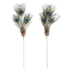 Deals ⭐ 12 Pack: Peacock Feather Picks by Ashland® ❤️