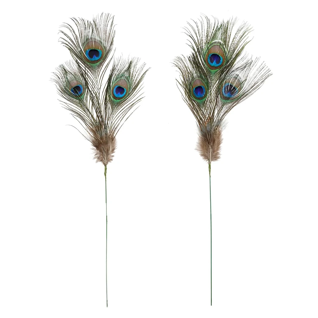 Deals ⭐ 12 Pack: Peacock Feather Picks by Ashland® ❤️ 3 Deals ⭐ 12 Pack: Peacock Feather Picks by Ashland® ❤️