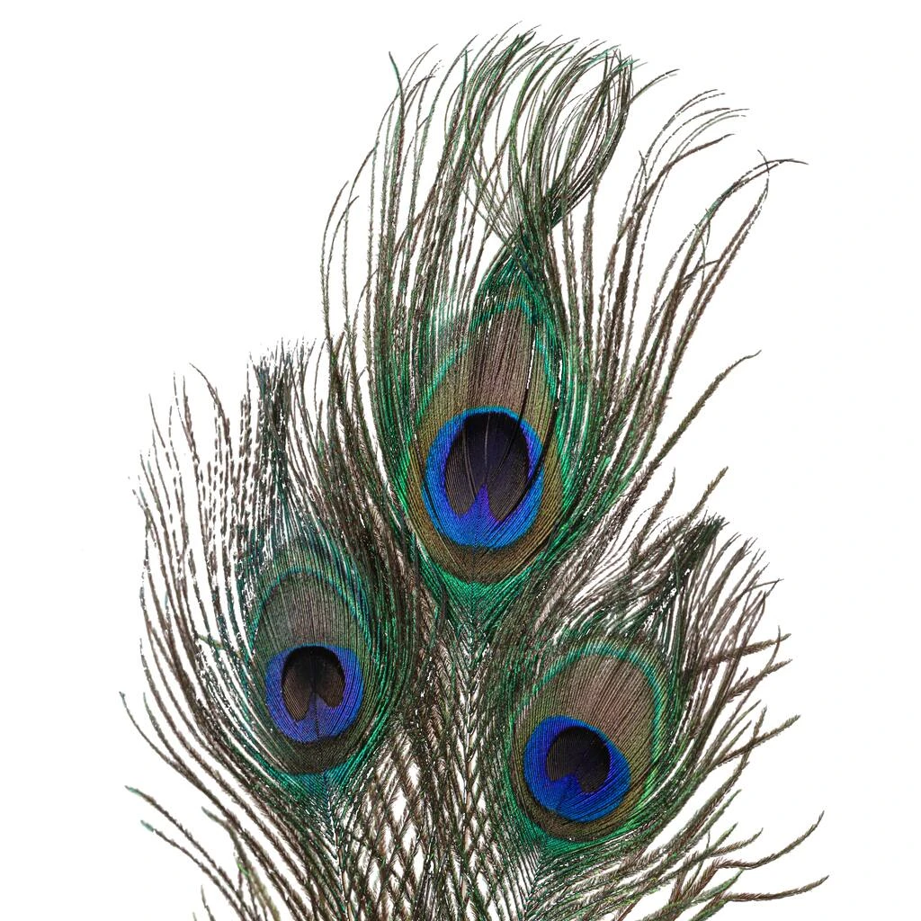 Deals ⭐ 12 Pack: Peacock Feather Picks by Ashland® ❤️ 5 Deals ⭐ 12 Pack: Peacock Feather Picks by Ashland® ❤️ - Image 3