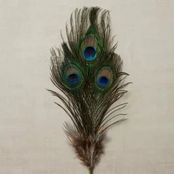 Deals ⭐ 12 Pack: Peacock Feather Picks by Ashland® ❤️ 9 Deals ⭐ 12 Pack: Peacock Feather Picks by Ashland® ❤️ -Ashland Shop MP355707 25