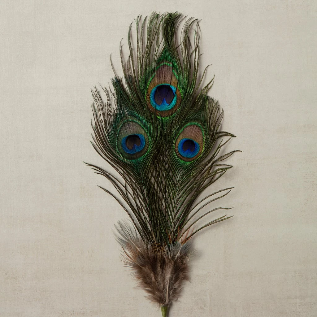 Deals ⭐ 12 Pack: Peacock Feather Picks by Ashland® ❤️ 6 Deals ⭐ 12 Pack: Peacock Feather Picks by Ashland® ❤️ - Image 4