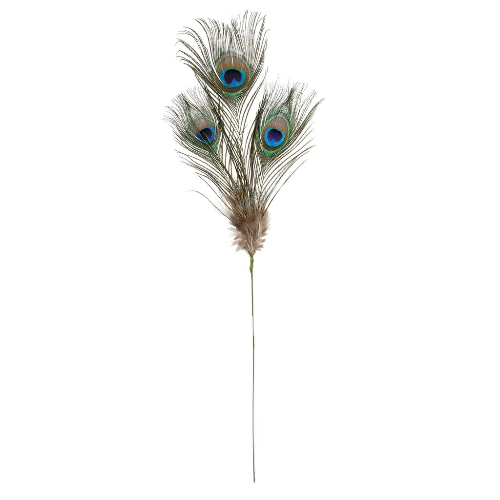 Deals ⭐ 12 Pack: Peacock Feather Picks by Ashland® ❤️ 4 Deals ⭐ 12 Pack: Peacock Feather Picks by Ashland® ❤️ - Image 2