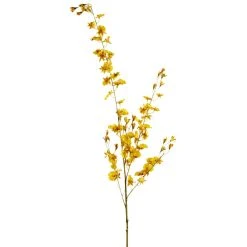 Buy ⭐ 12 Pack: Yellow Dancing Orchid by Ashland® 😉
