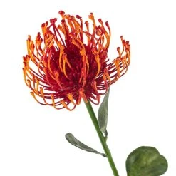 Hot Sale 😀 12 Pack: Tropical Needle Protea Spray by Ashland® ✔️ -Ashland Shop MP381033 20