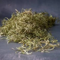 Wholesale 🥰 24 Pack: Basil Green Spanish Moss by Ashland® 🎁