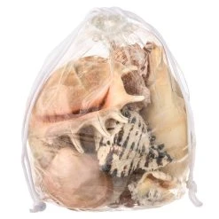 Cheapest 😍 6 Pack: Mixed Shells Value Bag by Ashland® ✔️ -Ashland Shop MP391530 30