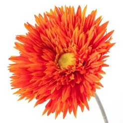 Best Pirce ✨ 12 Pack: Orange Spider Gerbera Daisy Spray by Ashland® ✔️ -Ashland Shop MP392668 20
