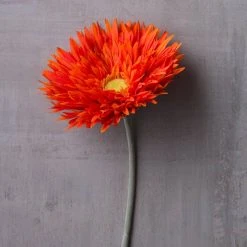 Best Pirce ✨ 12 Pack: Orange Spider Gerbera Daisy Spray by Ashland® ✔️ -Ashland Shop MP392668 22