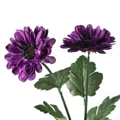 New ✔️ 12 Pack: Purple Zinnia Mum Spray by Ashland® 😉 -Ashland Shop MP392967 20