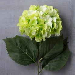 Top 10 😍 12 Pack: Green Hydrangea Stem by Ashland® 💯 -Ashland Shop MP400667 22
