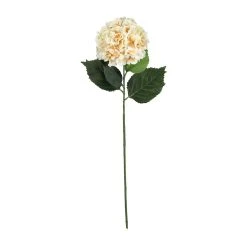 Best deal 👏 12 Pack: Cream Hydrangea Stem by Ashland® 🛒