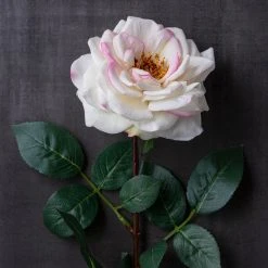 Best deal 👏 12 Pack: Cream Hydrangea Stem by Ashland® 🛒 -Ashland Shop MP400668 22